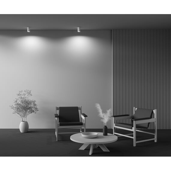 Maytoni Technical C003CW-01W Потолочный светильник Conik Gyps, изображение 6