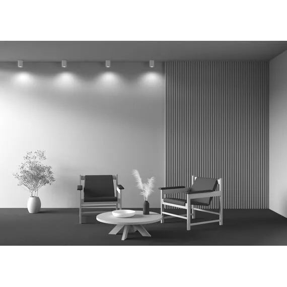 Maytoni Technical C016CL-01W Потолочный светильник Alfa, изображение 6