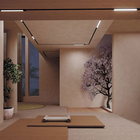 Maytoni Technical TR074-2-7W4K-B Трековый магнитный светодиодный светильник Basis Gravity, изображение 2