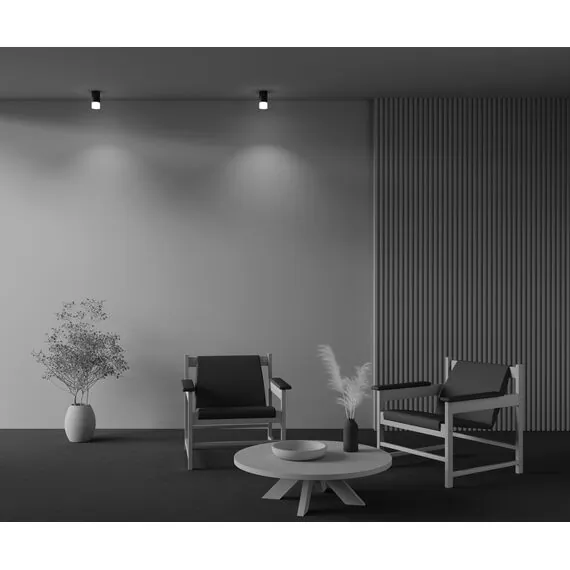 Maytoni Technical C007CW-01B Светильник потолочный Pauline, изображение 6