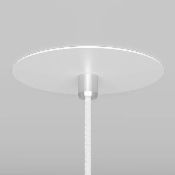 Maytoni Technical P318-PL-01-W Подвесной светильник Nevill, изображение 5