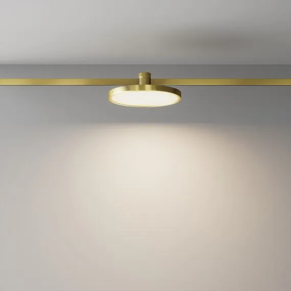 Maytoni Technical TR153-1-10W3K-BS Трековый магнитный светодиодный светильник Flarity Plato, изображение 4