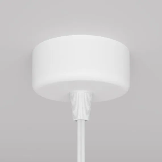 Maytoni Technical P038PL-01W Подвесной светильник Focus Design, изображение 5