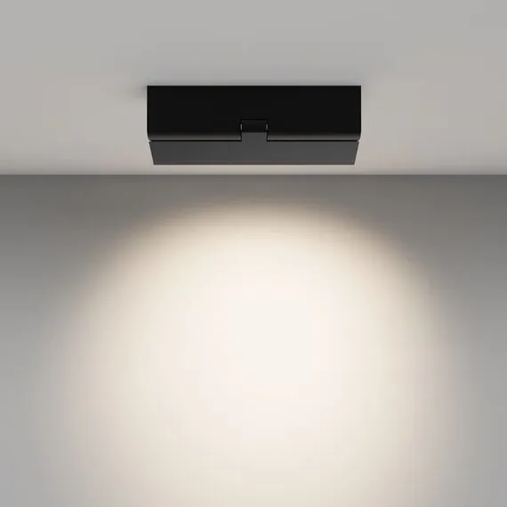 Maytoni Technical C136CL-12W4K-B Потолочный светильник Points rot, изображение 4