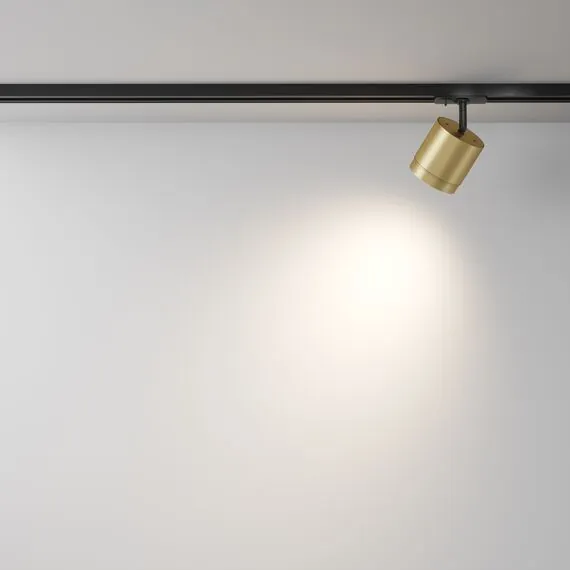 Maytoni Technical TR088-1-GX53-MG Трековый однофазный светильник Unity Polar, изображение 5