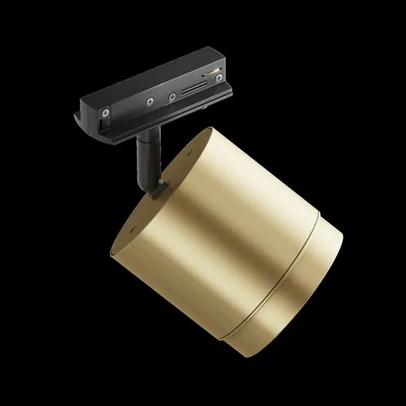 Maytoni Technical TR088-1-GX53-MG Трековый однофазный светильник Unity Polar, изображение 8