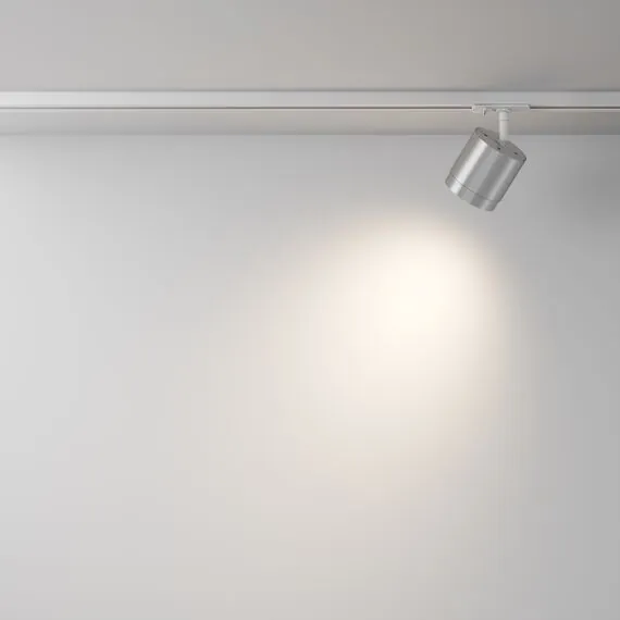 Maytoni Technical TR088-1-GX53-S Трековый однофазный светильник Unity Polar, изображение 5