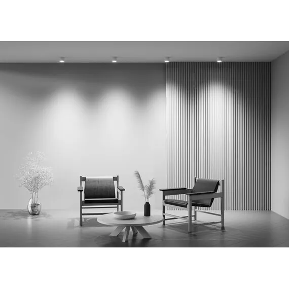 Maytoni Technical C095CL-GX53-W Светильник потолочный Rendo, изображение 6