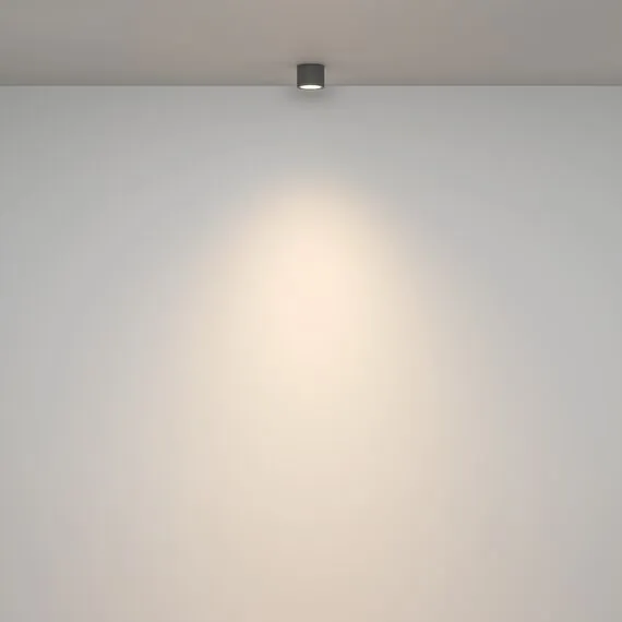 Maytoni Technical C095CL-GX53-GR Светильник потолочный, изображение 4