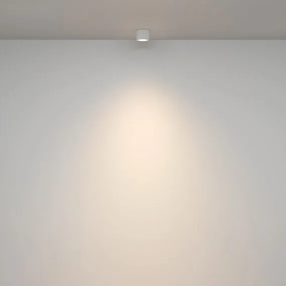 Maytoni Technical C095CL-GX53-W Светильник потолочный Rendo, изображение 4