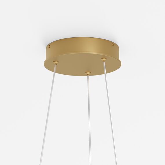 Maytoni Decorative MOD058PL-L22BSK Люстра подвесная светодиодная Rim, изображение 5