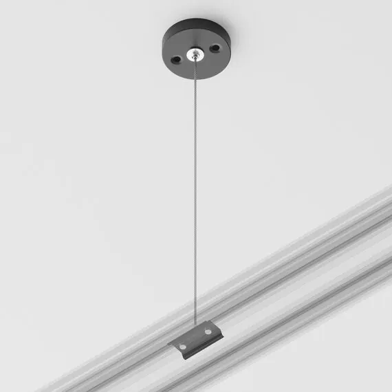 Maytoni Technical TRA001CW-11B Подвес для однофазного шинопровода Unity, изображение 7