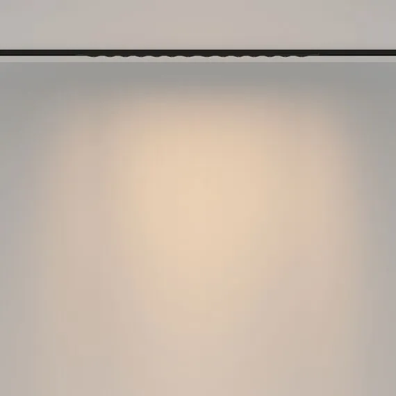 Maytoni Technical TR175-1-24WTW-M-B Трековый магнитный светодиодный светильник Basity Spiky, изображение 4