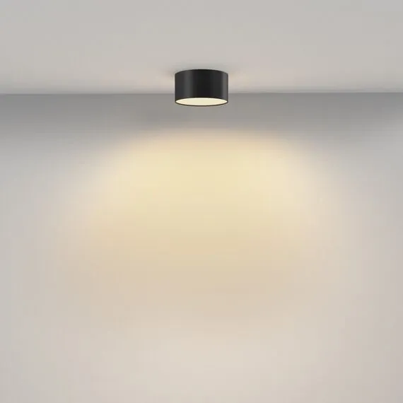 Maytoni C032CL-12W2.7K-RD-B Светильник потолочный светодиодный Zon, изображение 4