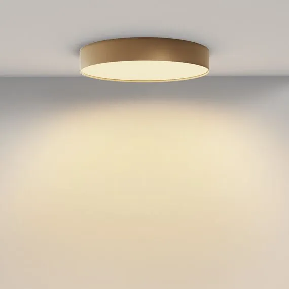 Maytoni C032CL-45W2.7K-RD-MG Светильник потолочный светодиодный Zon, изображение 4