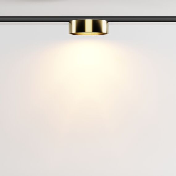 Maytoni Technical TR189-1-12W2.7K-BBS Трековый магнитный светодиодный светильник Levity Zon, изображение 4