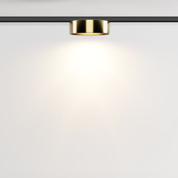 Maytoni Technical TR189-1-12W3K-BBS Трековый магнитный светодиодный светильник Levity Zon, изображение 4