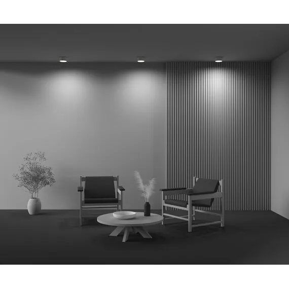 Maytoni Technical C032CL-12W4K-RD-MG Светильник потолочный светодиодный Zon, изображение 7