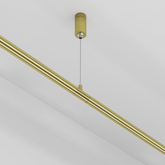 Maytoni Technical CA009PM-BS Аксессуар для штанговой системы освещения Axity, изображение 3