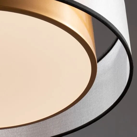 Freya FR6005CL-L36G Потолочный светодиодный светильник Zoticus, изображение 4