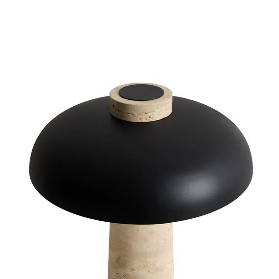 Freya FR5482TL-L7B Настольная лампа светодиодная Sunspot, изображение 3