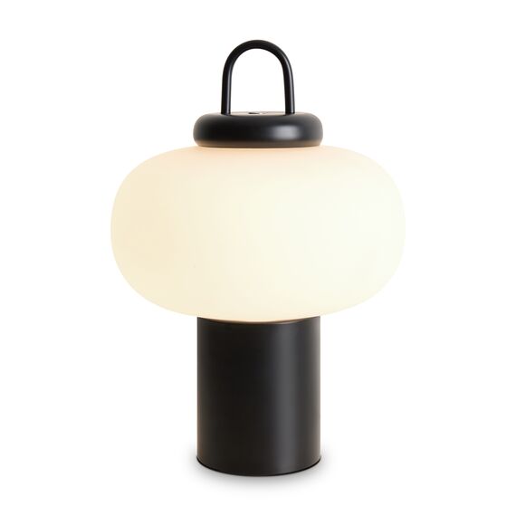 Freya FR6175TL-L10B Настольная лампа светодиодная Take