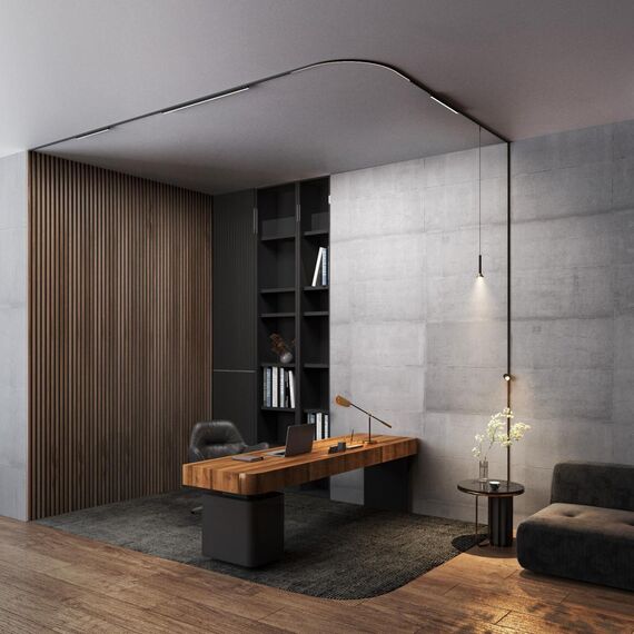 Elektrostandard a065645 Mini Magnetic Трековый светильник 5W 3000K (черный) 85158/01, изображение 4