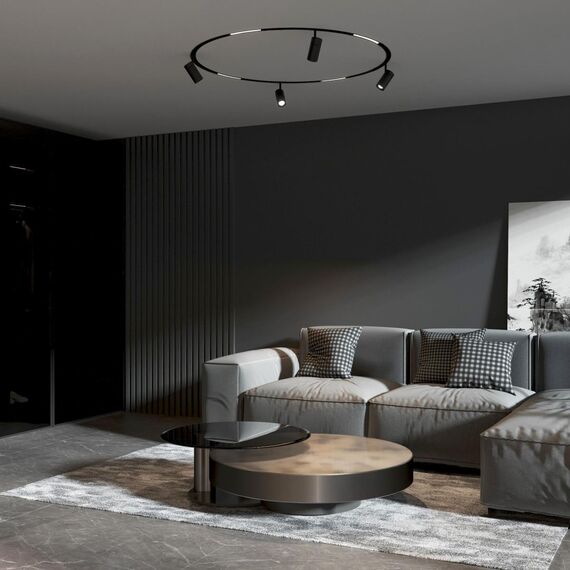 Elektrostandard a066516 Slim Magnetic Трековый светильник 12W 4200K Comfi (чёрный) (?800мм) 85188/01, изображение 3