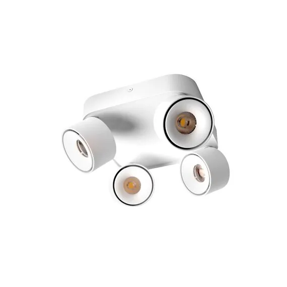 LOFT IT 10326 White Накладной светильник Case