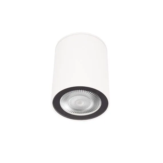 LOFT IT 10344 White Накладной светильник Rush