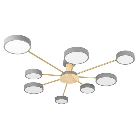 LOFT IT 10316/8 Grey Потолочный светильник Sunrise