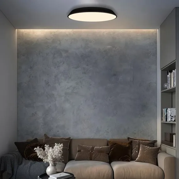 LOFT IT 10226 Black Потолочный светильник Brim, изображение 7