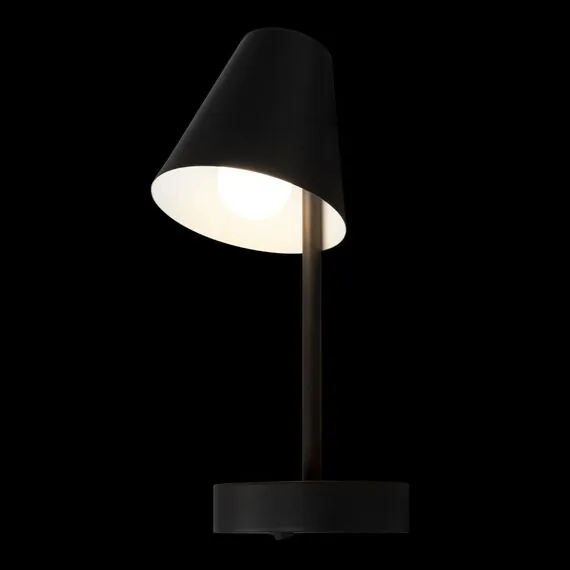 LOFT IT 10216/1W Black Настенный светильник Shelf, изображение 6