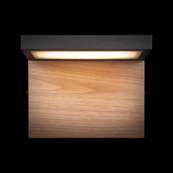 LOFT IT 100001W Уличный настенный светильник Oak, изображение 7