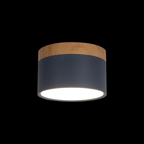 LOFT IT 10162 Blue Накладной светильник Grape, изображение 2