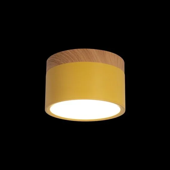 LOFT IT 10162 Yellow Накладной светильник Grape, изображение 2