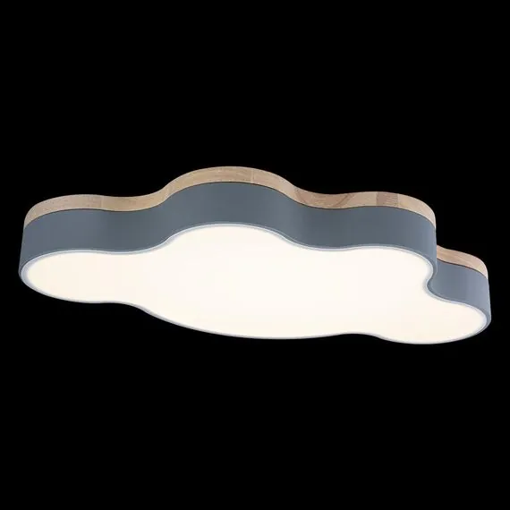 LOFT IT 10005/36 Grey Потолочный светильник Axel, изображение 5