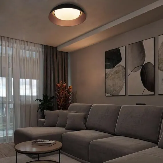 LOFT IT 10229 Black Потолочный светильник Cappello, изображение 5