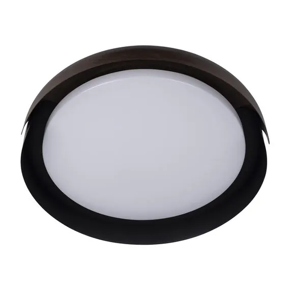 LOFT IT 10198 Black Потолочный светильник Coin, изображение 5