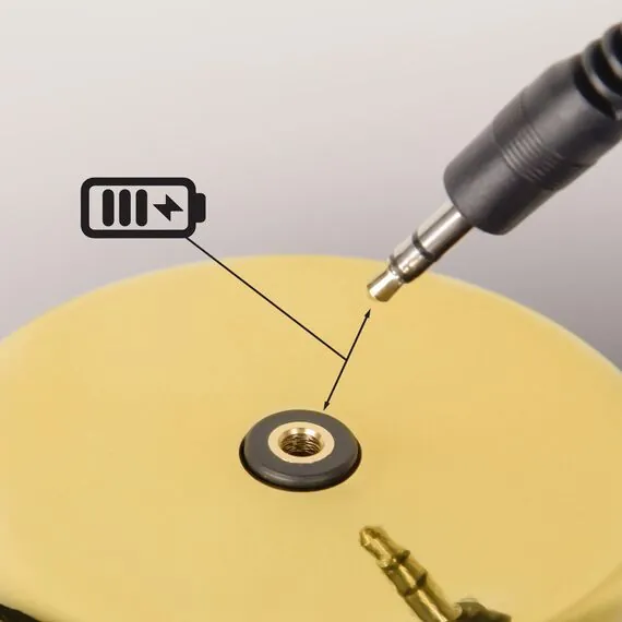 LOFT IT 10233/D Gold Настольная лампа Brothers, изображение 9