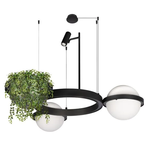 LOFT IT 10121/2 Подвесной светильник Jardin, изображение 5