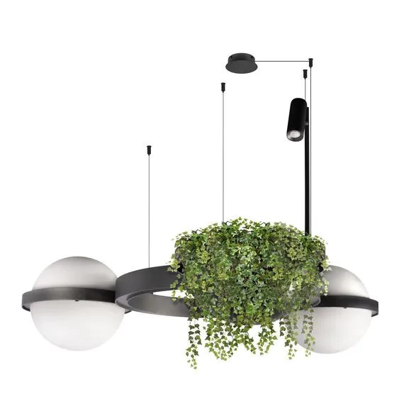 LOFT IT 10121/2 Dark grey Подвесной светильник Jardin, изображение 3