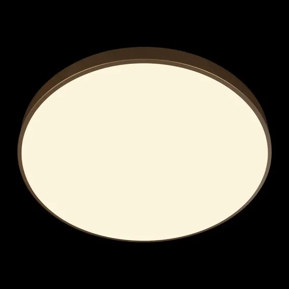 LOFT IT 10228/B Потолочный светильник Flims, изображение 6