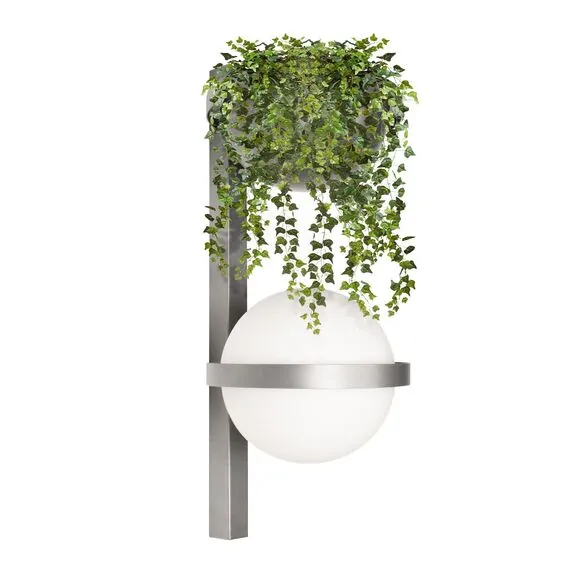 LOFT IT 10121W/B Dark grey Настенный светильник Jardin, изображение 3