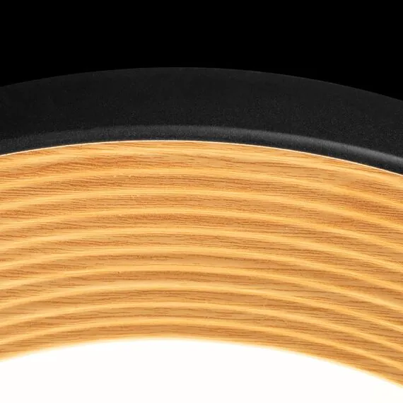 LOFT IT 10255/500 Black Потолочный светильник Folk, изображение 5