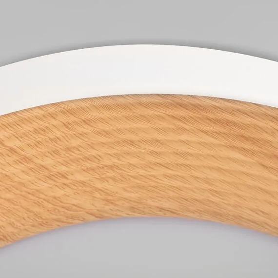 LOFT IT 10255/500 White Потолочный светильник Folk, изображение 4