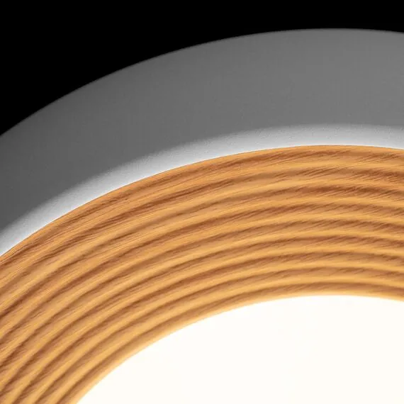 LOFT IT 10255/350 White Потолочный светильник Folk, изображение 5