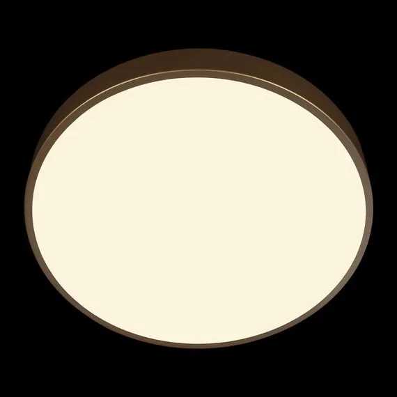 LOFT IT 10228/A Потолочный светильник Flims, изображение 6