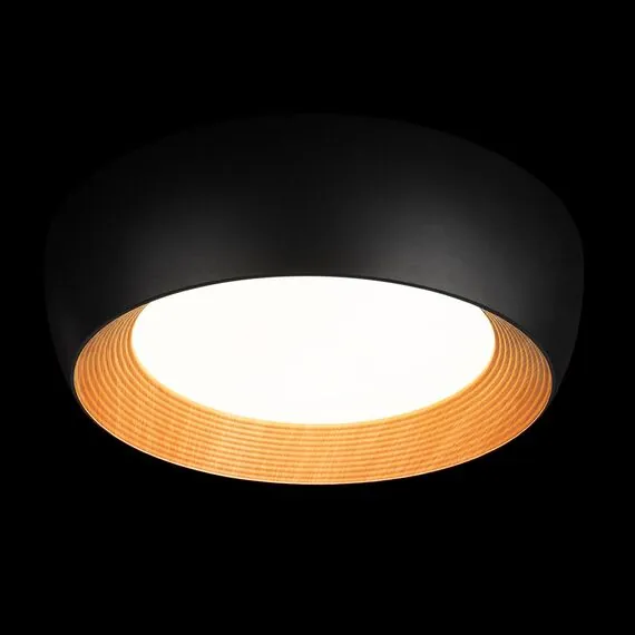 LOFT IT 10255/500 Black Потолочный светильник Folk, изображение 2