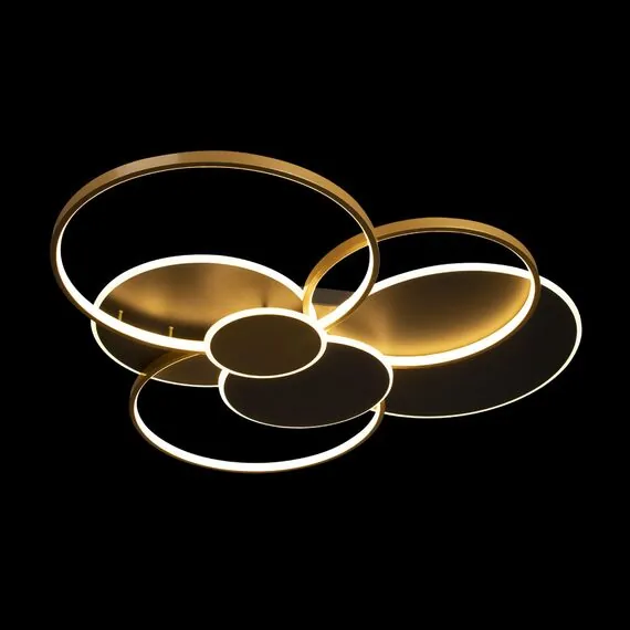 LOFT IT 10163 Black Потолочный светильник Megan, изображение 2